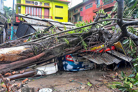 Cars crushed under a tree in Guwahati